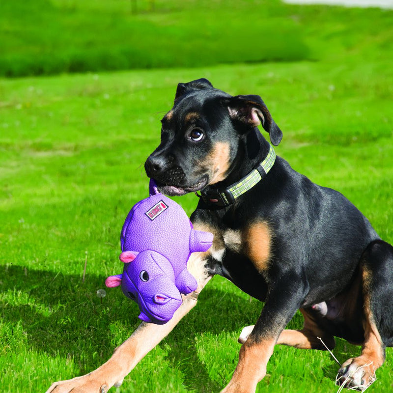 KONG Phatz Dog Toy with Low Tone Squeaker - Percys Pet Products