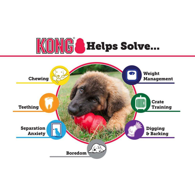 KONG Puppy Chew Treat Dog Toy - Percys Pet Products