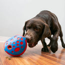 KONG Rewards Wally Treat Dispensing Dog Toy - Percys Pet Products