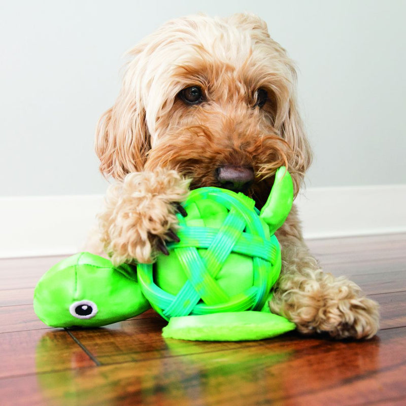 KONG Sea Shells Dog Toy - Percys Pet Products