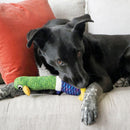 KONG Shakers Cuckoos Dog Toy with Squeaker - Percys Pet Products