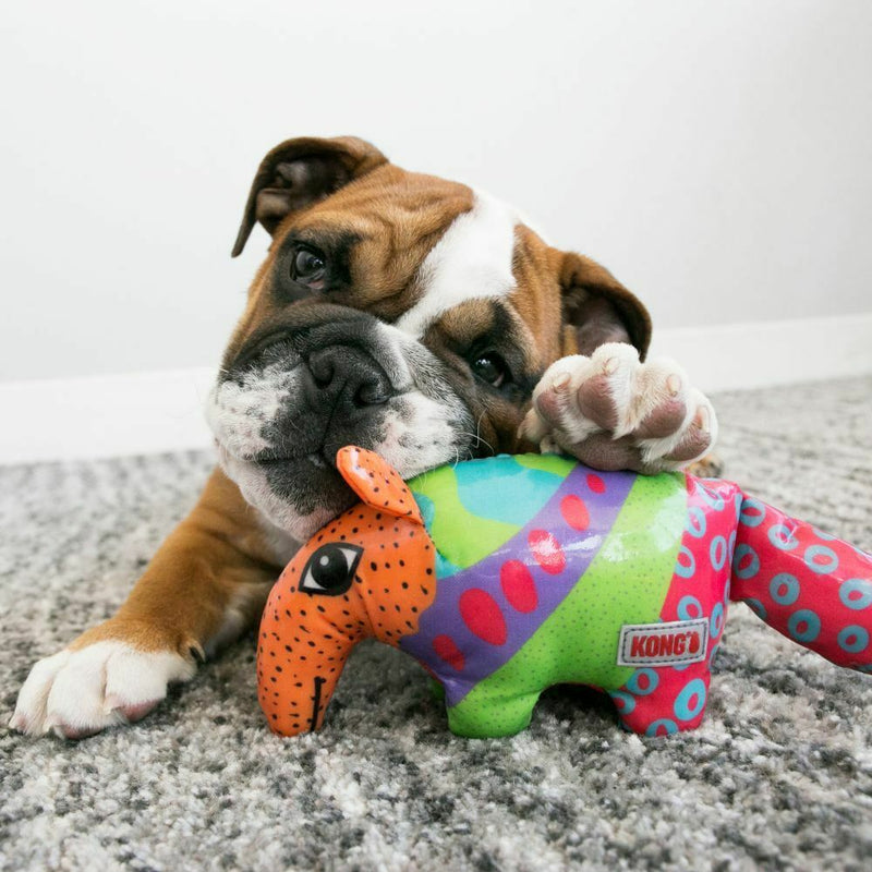 KONG SHIELDZ Dog Toy - Percys Pet Products