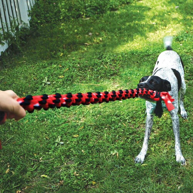 KONG Signature Rope Double Ring Tug Dog Toy - Percys Pet Products