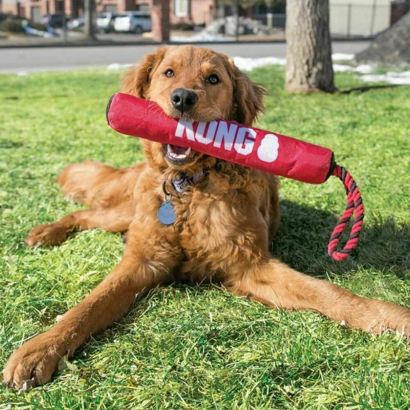 KONG Signature Stick Durable Dog Toy - Percys Pet Products