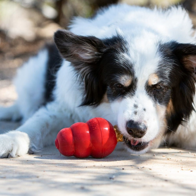 KONG Snacks Liver Dog Treats - Percys Pet Products