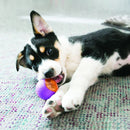 KONG Squeezz Action Dog Ball - Percys Pet Products