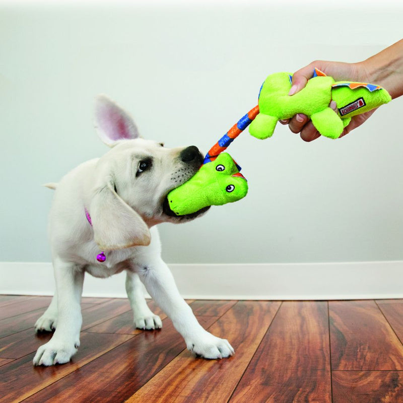 Kong Stretchezz Tuga Interactive Dog Toy - Percys Pet Products