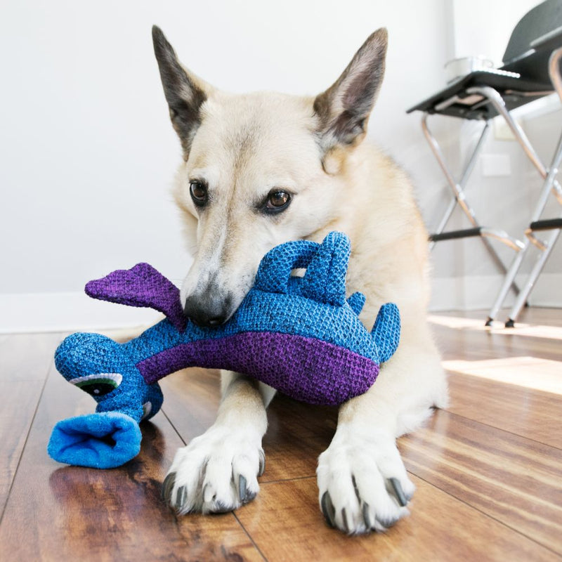 KONG Woozles Dog Toys - Percys Pet Products