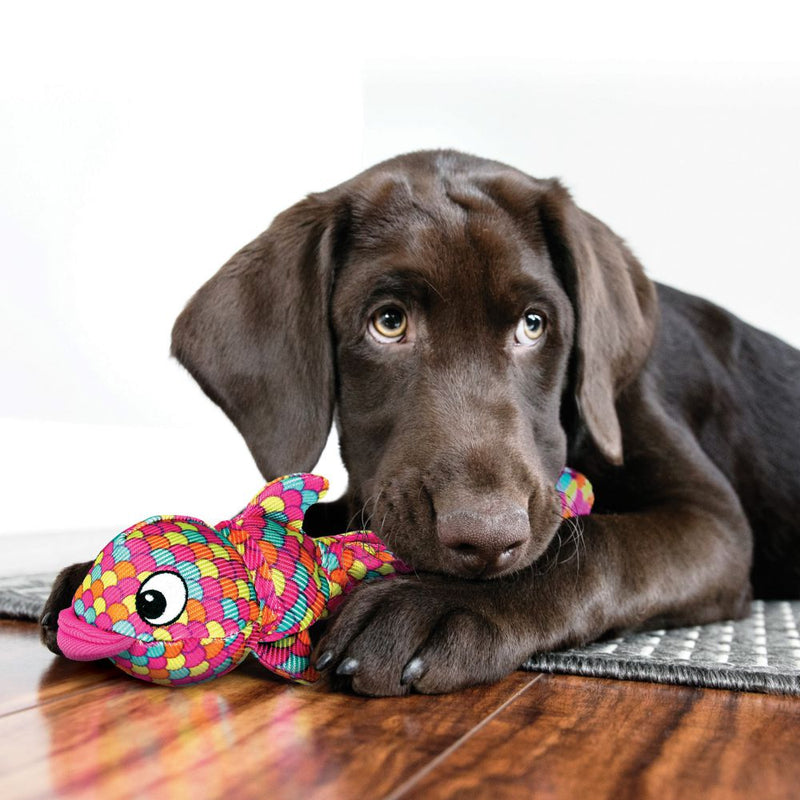 KONG Wubba Finz Dog Toys - Percys Pet Products