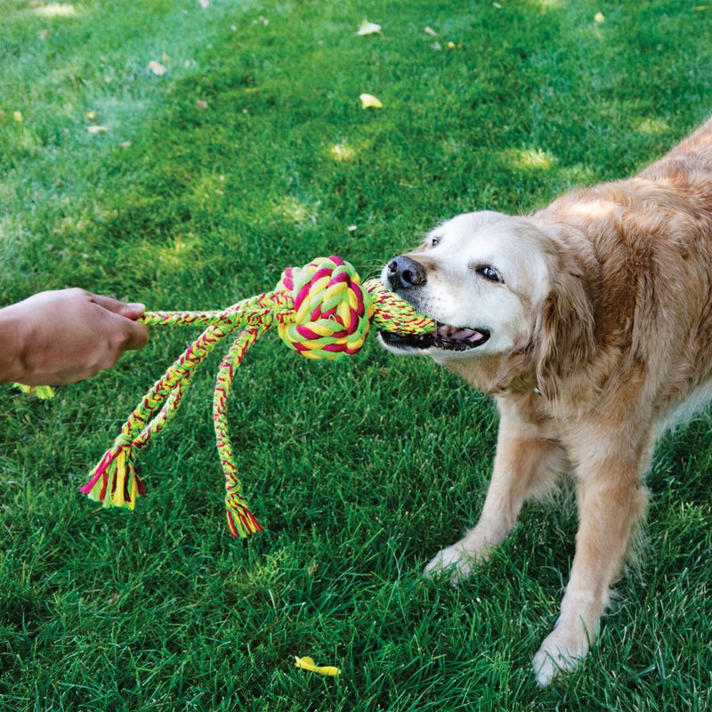 KONG Wubba Weaves with Rope - Percys Pet Products