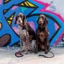 Long Paws Comfort Rope Dog Leash with Locking Click 120cm - Percys Pet Products