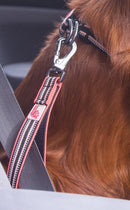 Long Paws Comfort Short Safety Belt / Close Control Lead - Percys Pet Products