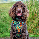 Long Paws Earth Friendly Trekker Dog Harness - Percys Pet Products