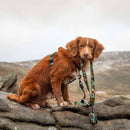 Long Paws Earth Friendly Trig Point Dog Lead - Percys Pet Products