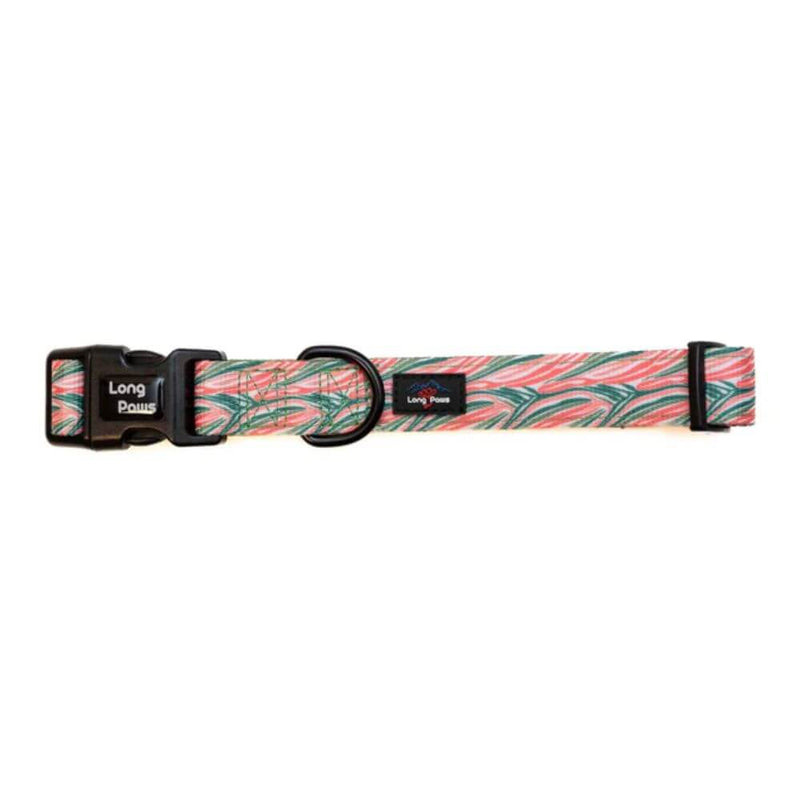 Long Paws Funk The Dog Collar in Pink Green Zebra - Percys Pet Products