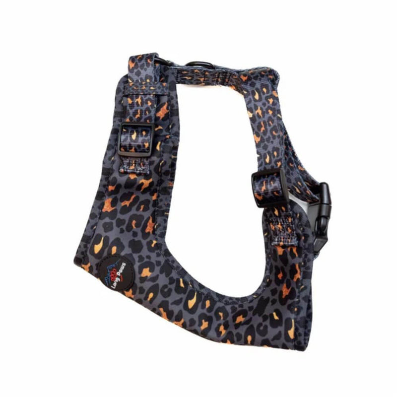 Long Paws Funk The Dog Harness in Gold Black Leopard - Percys Pet Products