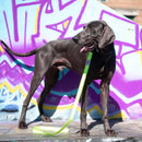 Long Paws Neon Collar & Reflective Training Lead Dog Walking Set - Percys Pet Products