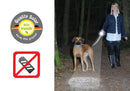 Patento Dog E-Lite Leash with Solar Torch - Percys Pet Products