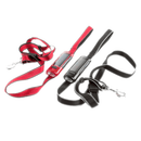 Patento Dog E-Lite Leash with Solar Torch - Percys Pet Products