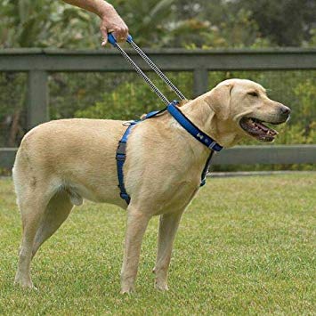 Patento Premium Dog Harness - Percys Pet Products