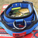 PatentoPet Padded Dog Collar with Quick Grab Handle - Percys Pet Products