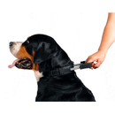 PatentoPet Padded Dog Collar with Quick Grab Handle - Percys Pet Products