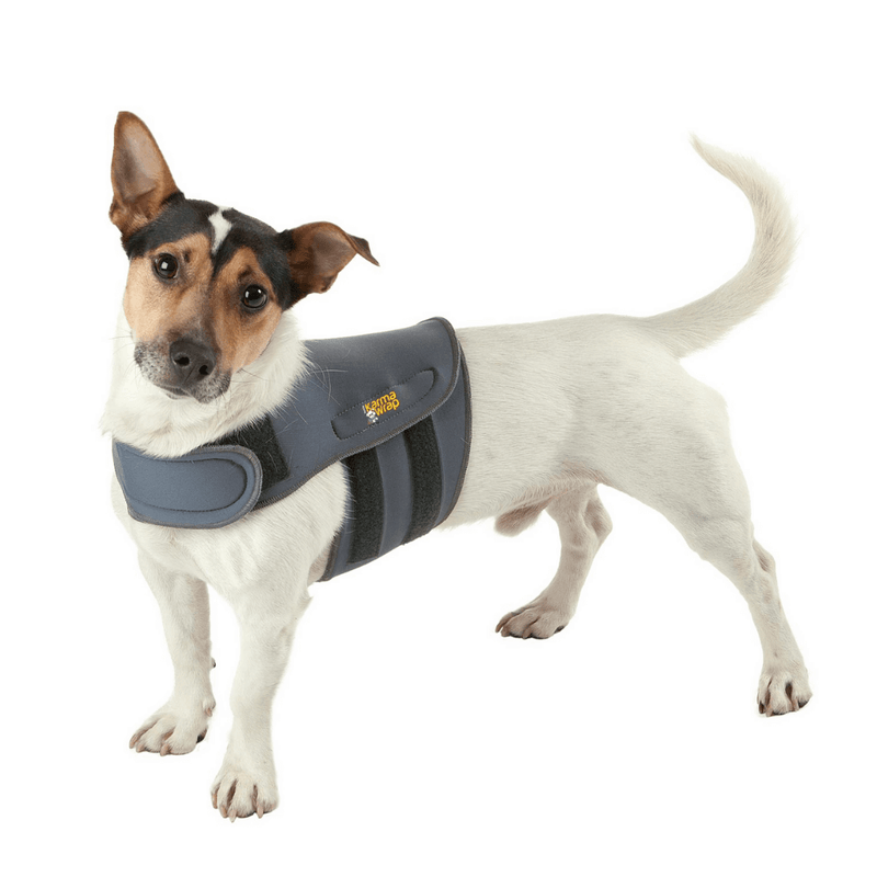 Petlife KarmaWrap for Dog Anxiety - Percys Pet Products