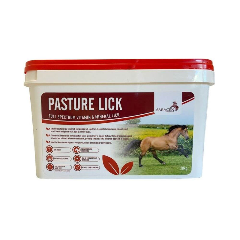 Saracen Pasture Lick for All Horses & Ponies 20kg - Percys Pet Products