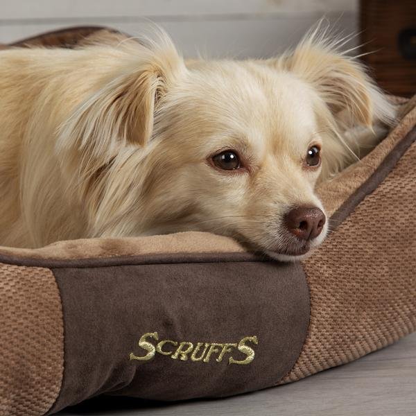 Scruffs Chester Box Dog Bed - Percys Pet Products
