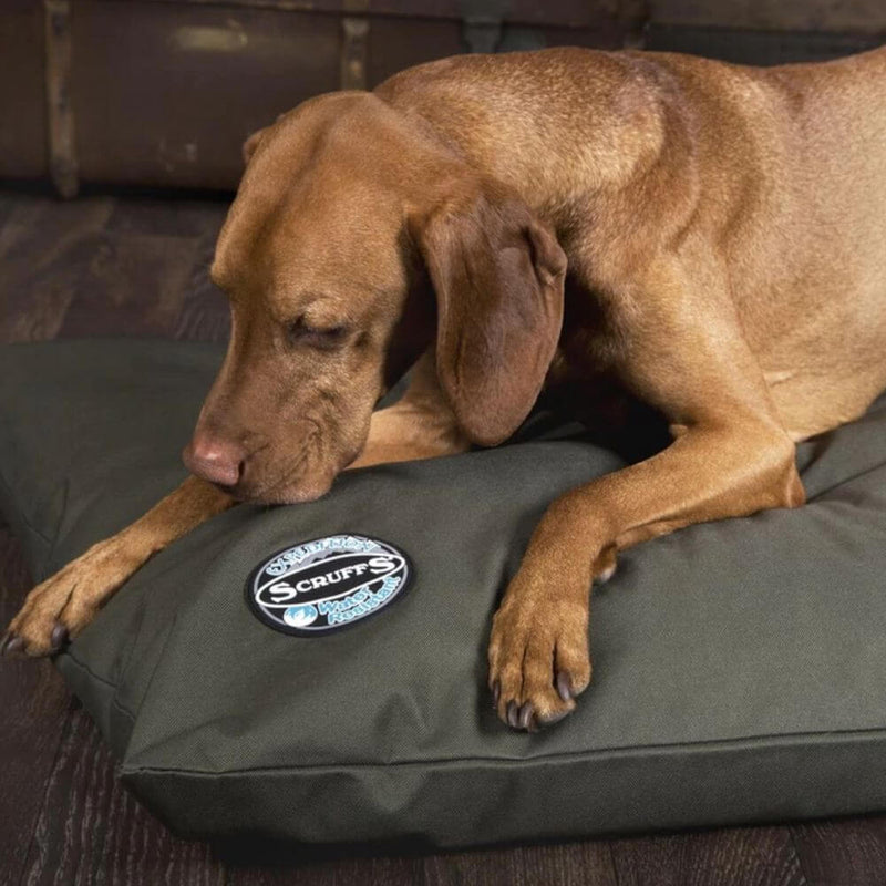 Scruffs Expedition Memory Foam Pillow Dog Bed - Percys Pet Products