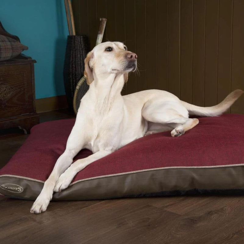 Scruffs Hilton Orthopaedic Memory Foam Dog Mattress - Percys Pet Products