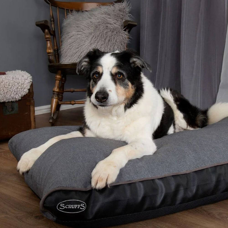 Scruffs Hilton Orthopaedic Memory Foam Dog Mattress - Percys Pet Products