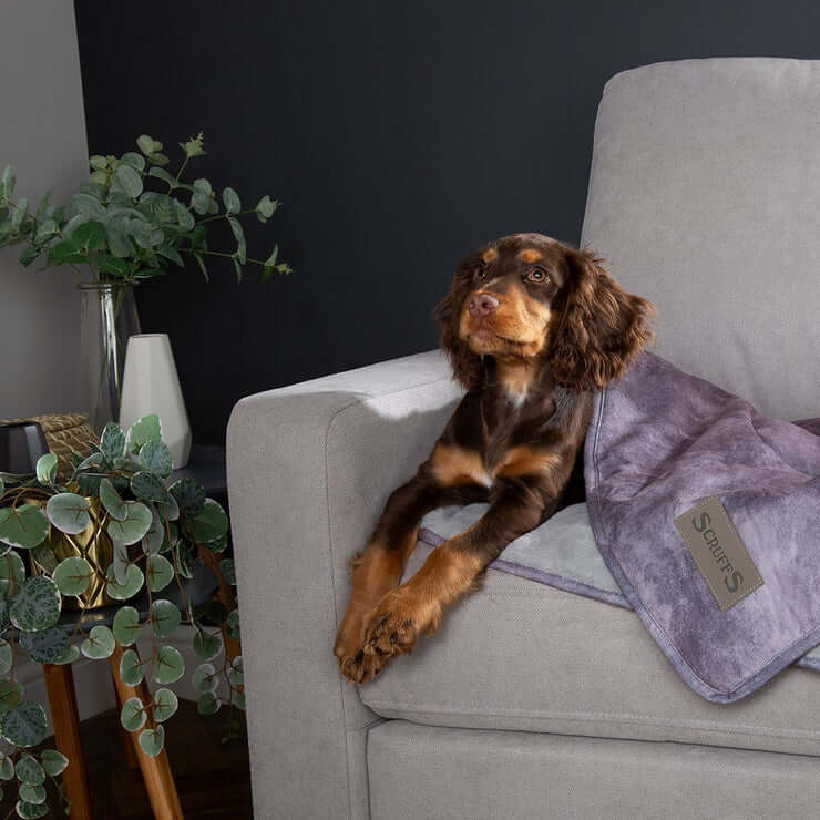 Scruffs Kensington Luxury Reversible Pet Blanket - Percys Pet Products