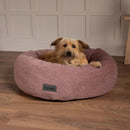 Scruffs Oslo Ring Dog Bed - Percys Pet Products