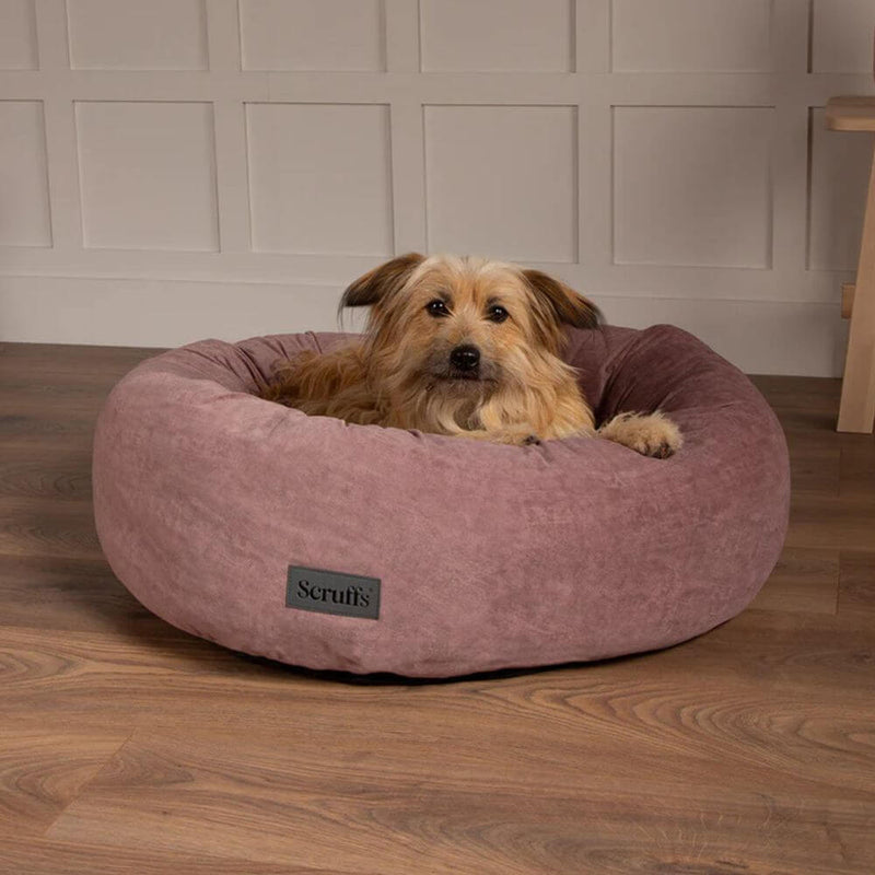Scruffs Oslo Ring Dog Bed - Percys Pet Products