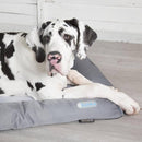 Scruffs Self Cooling Dog Bed - Percys Pet Products