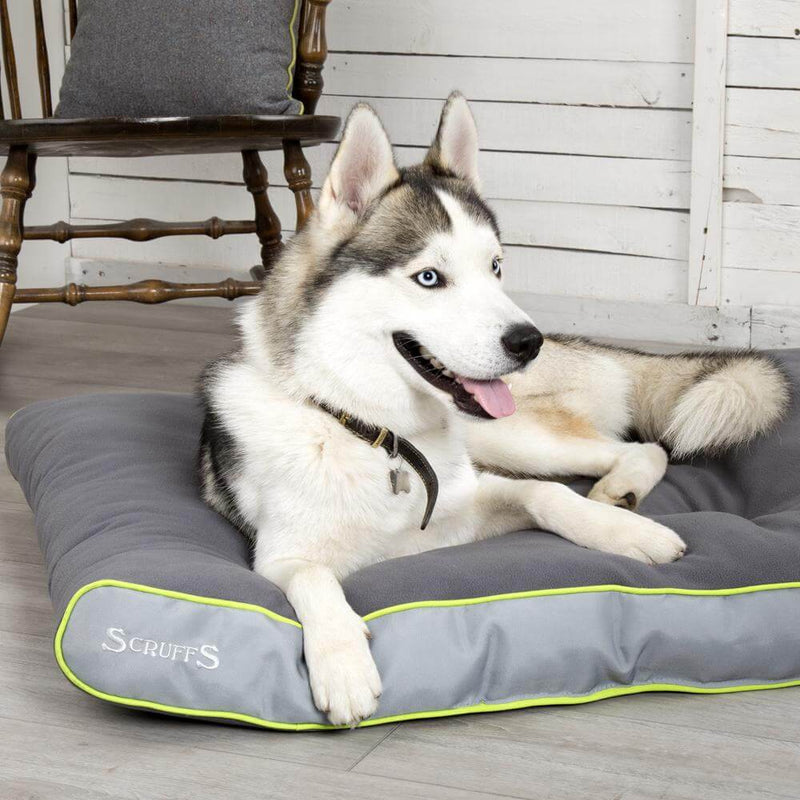 Scruffs Slimline Eco Mattress Dog Bed - Percys Pet Products