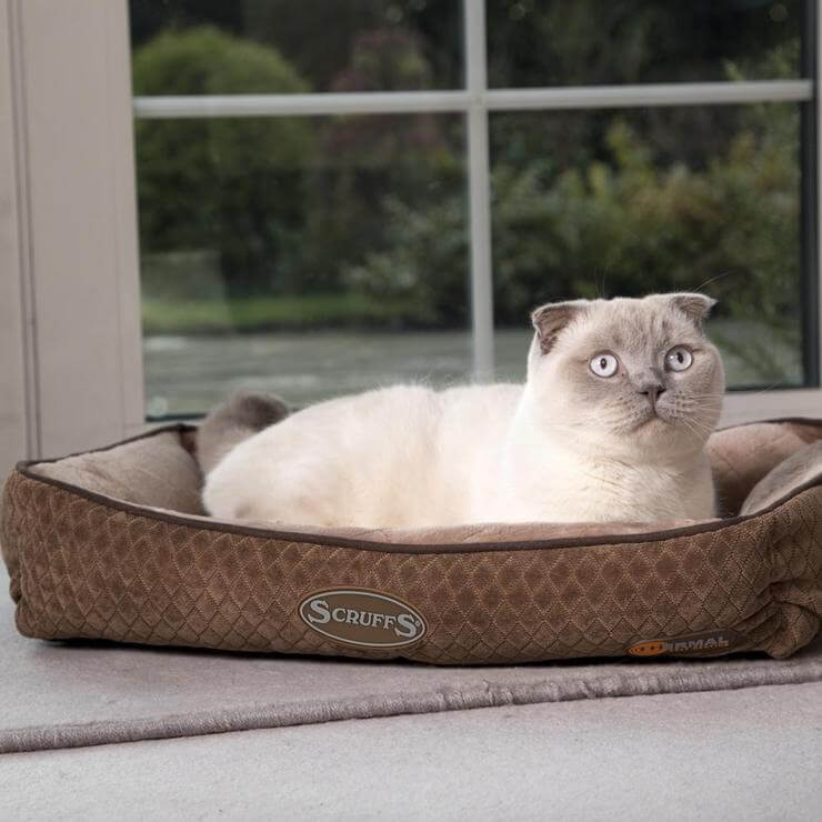 Scruffs Thermal Lounger Cat Bed - Percys Pet Products