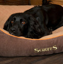 Scruffs Thermal Self Heating Box Bed - Percys Pet Products