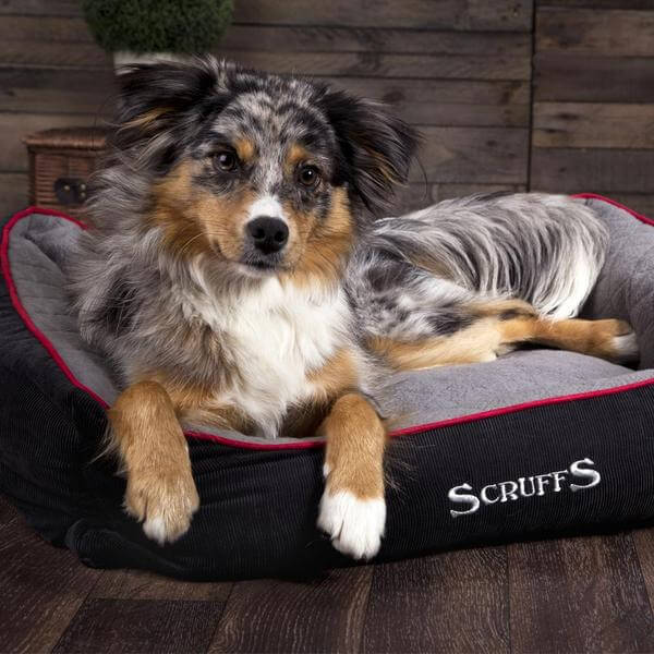 Scruffs Thermal Self Heating Box Bed - Percys Pet Products