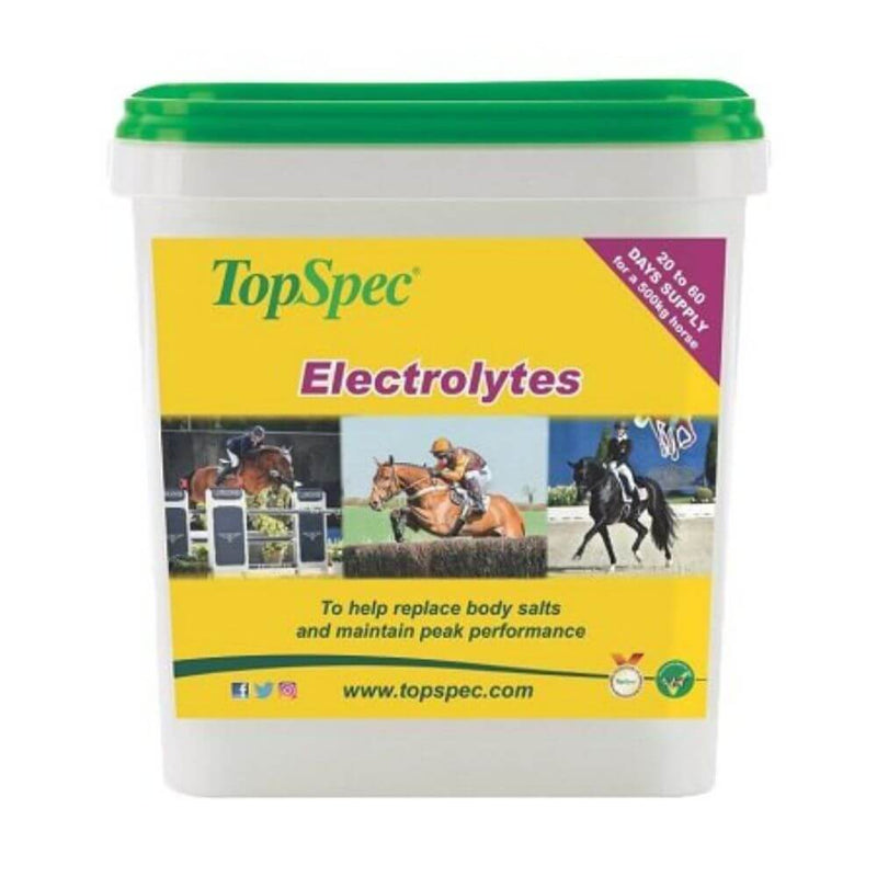TopSpec Electrolytes Equine Supplement - Percys Pet Products