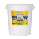 TopSpec Electrolytes Equine Supplement - Percys Pet Products