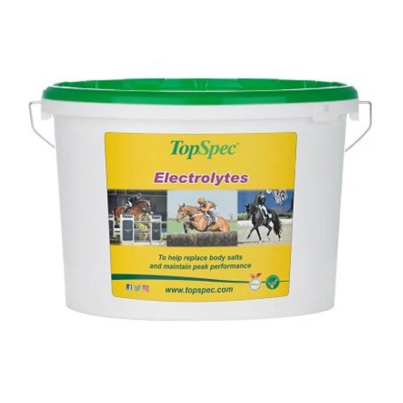 TopSpec Electrolytes Equine Supplement - Percys Pet Products