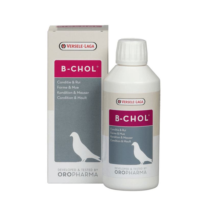 Versele-Laga Oropharma B-Chol 500ml - Percys Pet Products