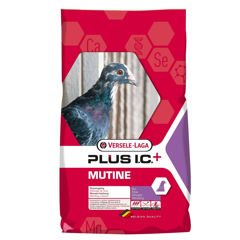 Versele-Laga Plus I.C. Mutine Complete Moulting Mix for Racing Pigeons 20kg - Percys Pet Products