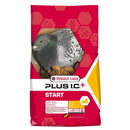 Versele-Laga Plus I.C. Start Breeding Mix for Racing Pigeons 20kg - Percys Pet Products